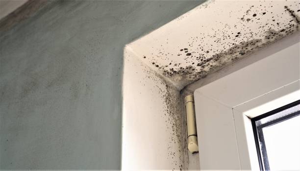 Best Indoor Air Quality Assessment  in Marlene Village, OR