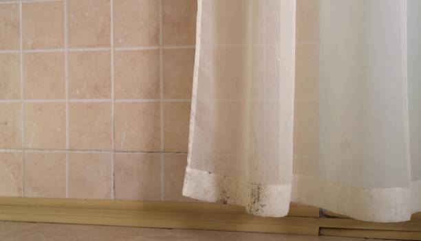 Mold Documentation for Insurance Claims in Marlene Village, OR