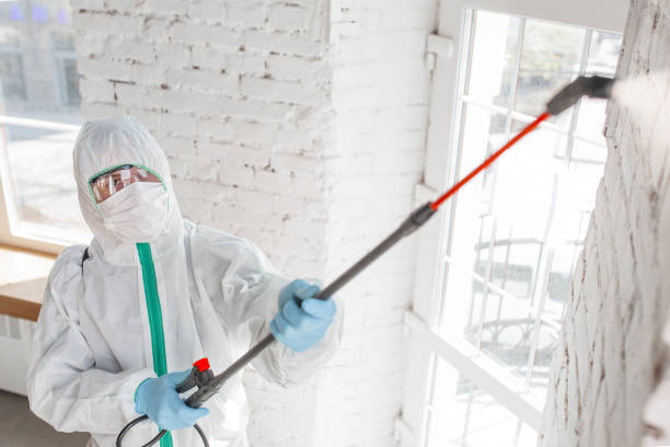 Best Post-Construction Mold Inspection  in Marlene Village, OR