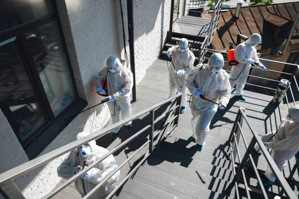  Marlene Village, OR Mold Removal Pros