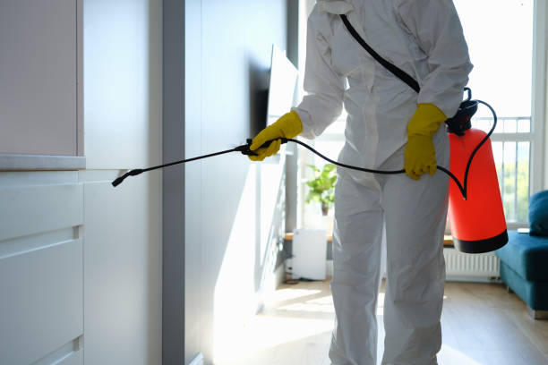 Best Mold Odor Removal Services  in Marlene Village, OR