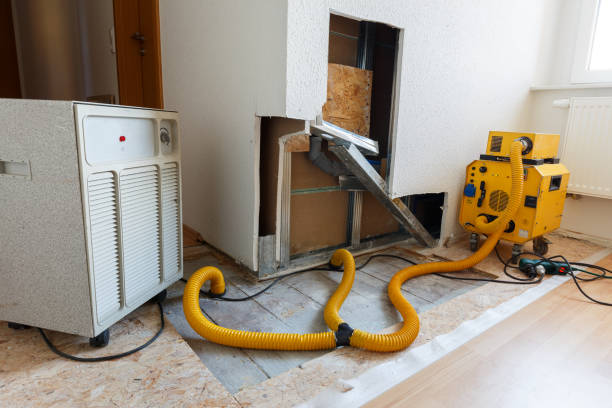 Best Asbestos and Lead Testing During Mold Inspection  in Marlene Village, OR